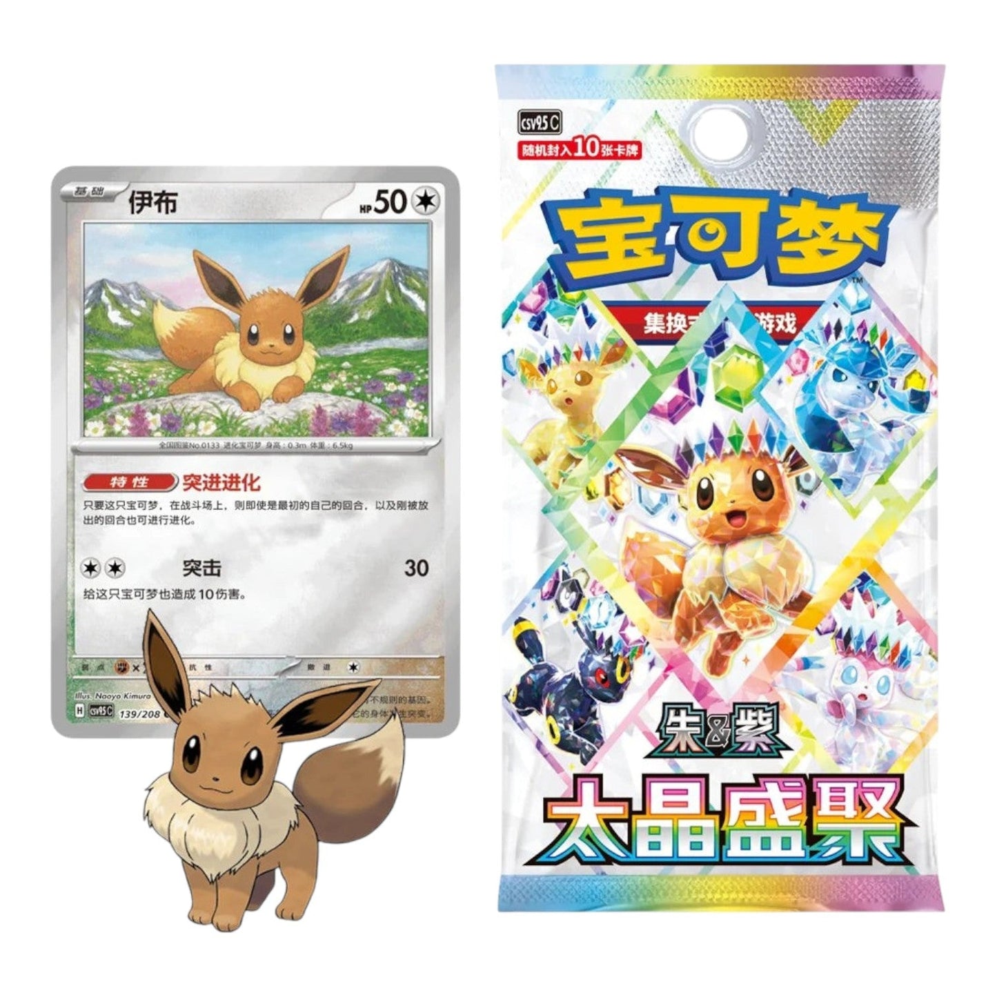 RichRevived Pokémon TCG Terastal Grand Gathering Eevee coin set with booster pack and Eevee trading card